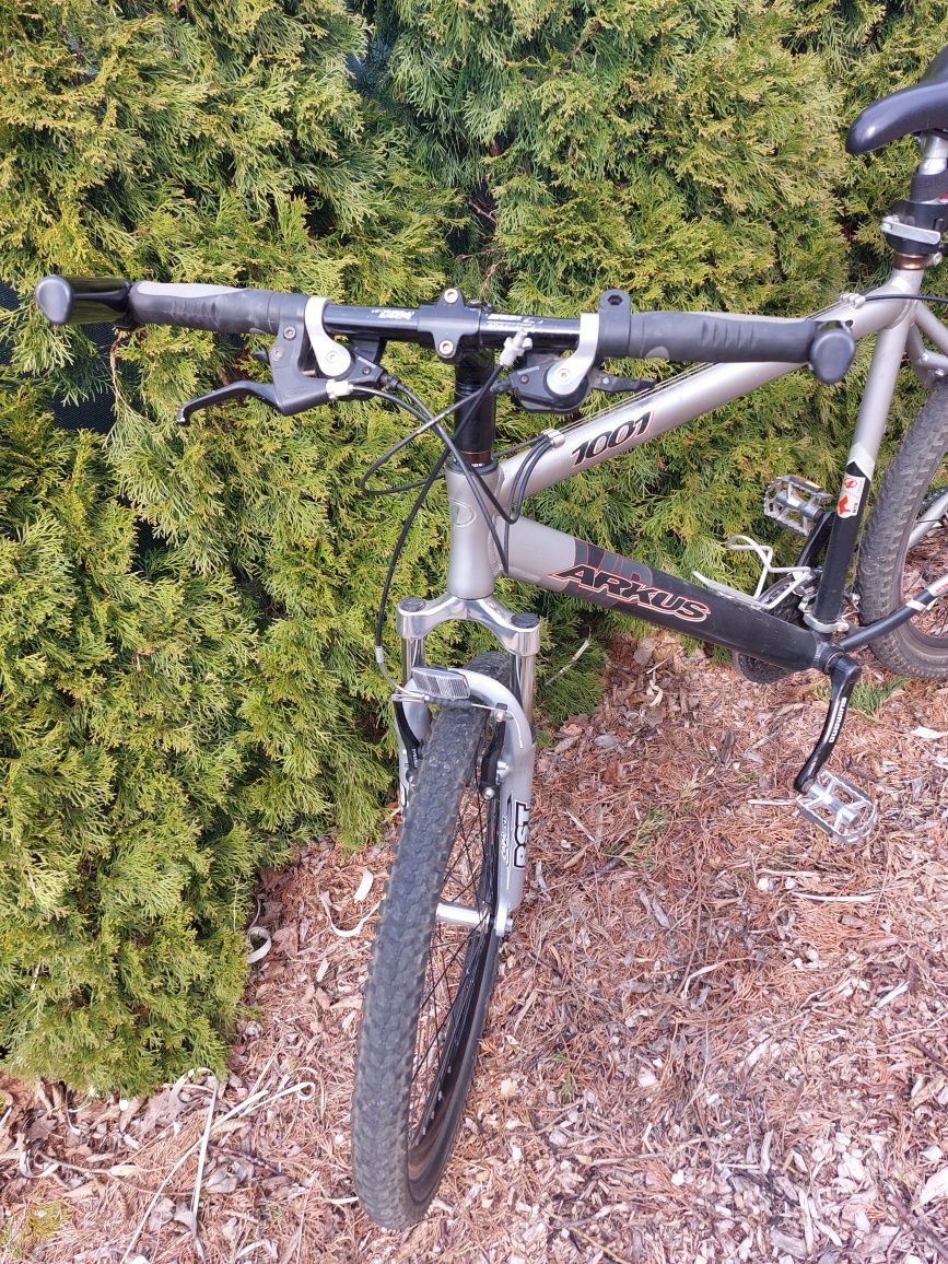 Rower MTB Arkus VIP 1001