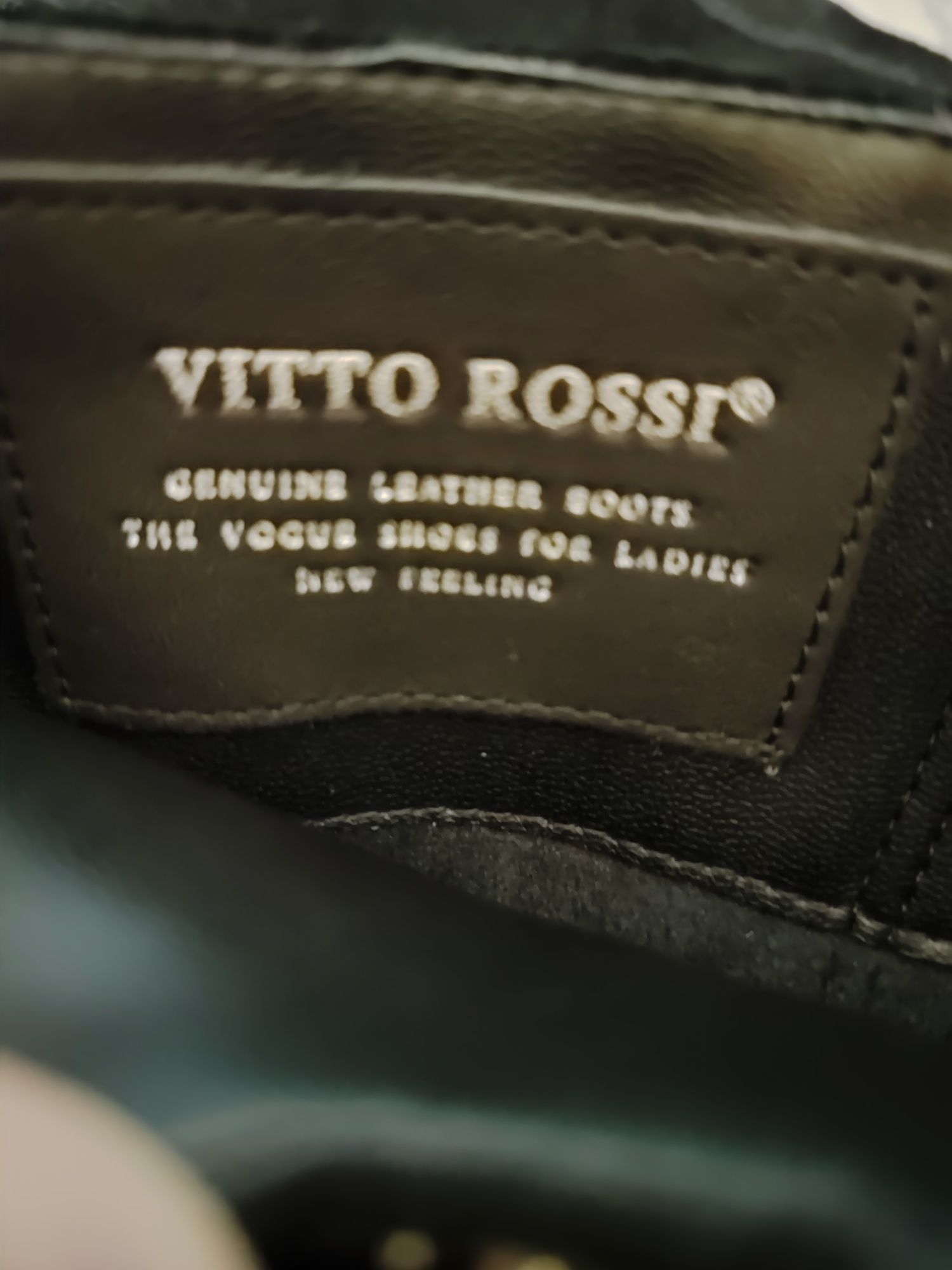 Чоботи замшеві Vitto Rossi