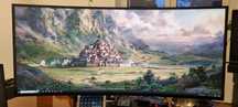 Dell UltraSharp U4021QW 5K2K (5120x2160) 21:9 KVM