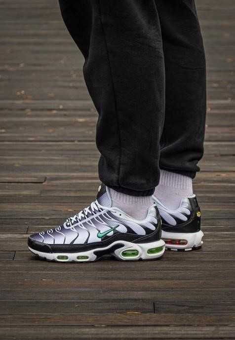 Мужские кроссовки Nike Air Max Plus TN 40-46 найк Наложка