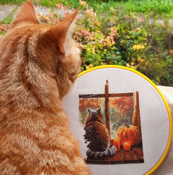 Набор для вышивки. Набір для вишивання.