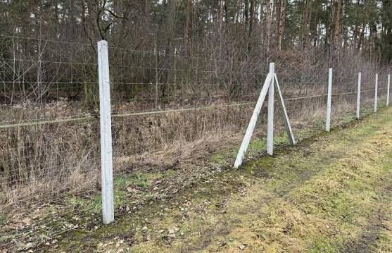 Ogrodzenia Tymczasowe Leśne działki ogrodzenie