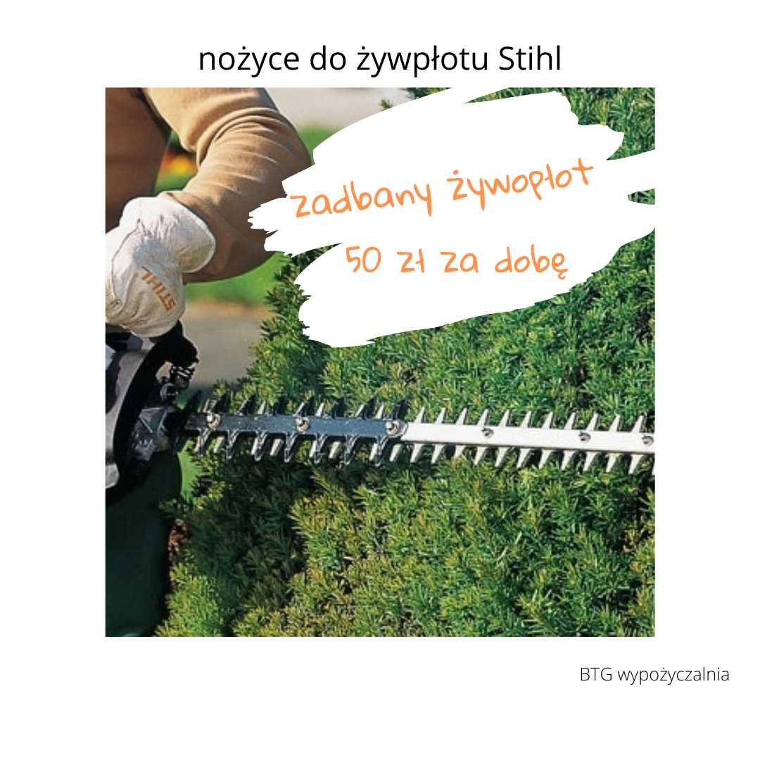 Do wynajęcia Nożyce do żywopłotu Stihl wynajem/wypożyczalnia