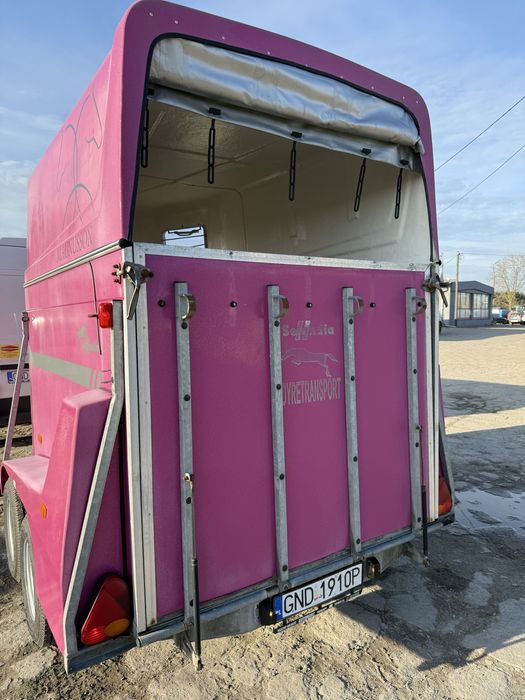 BOECKMANN Maro  selandia przyczepa do koni