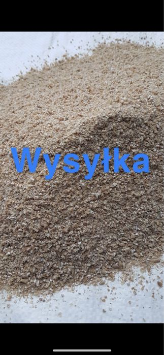 Pszenica mielona dla kur