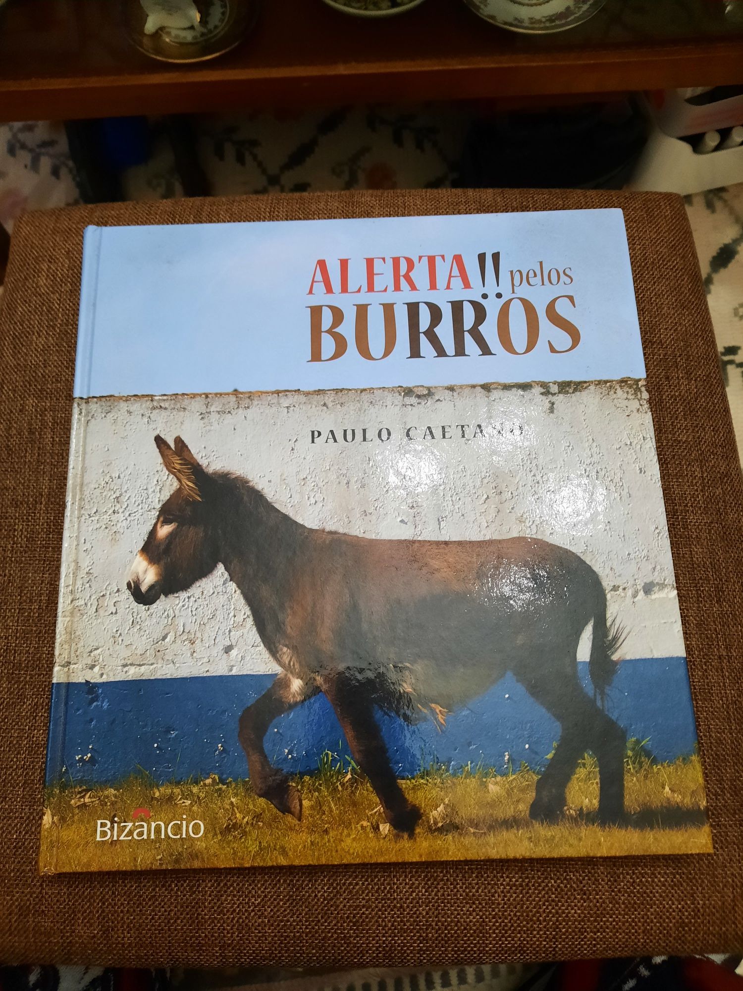 Livro "Alerta!! Pelos Burros (Paulo Caetano)