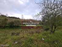 Terreno - Condeixa-a-Velha