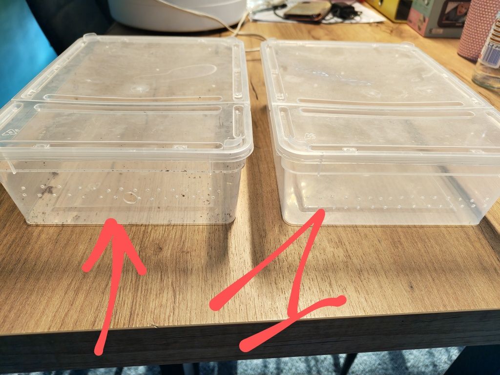 Pojemniki styrobox braplast zestaw