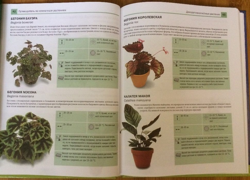 книга,книги:Новейшая энциклопедия комнатных растений Дэвид Сквайр