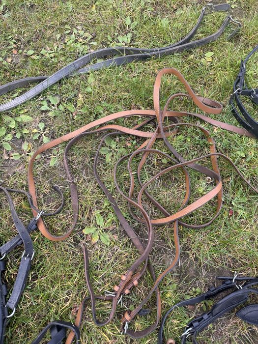 Uprzaz szory dla kucyka