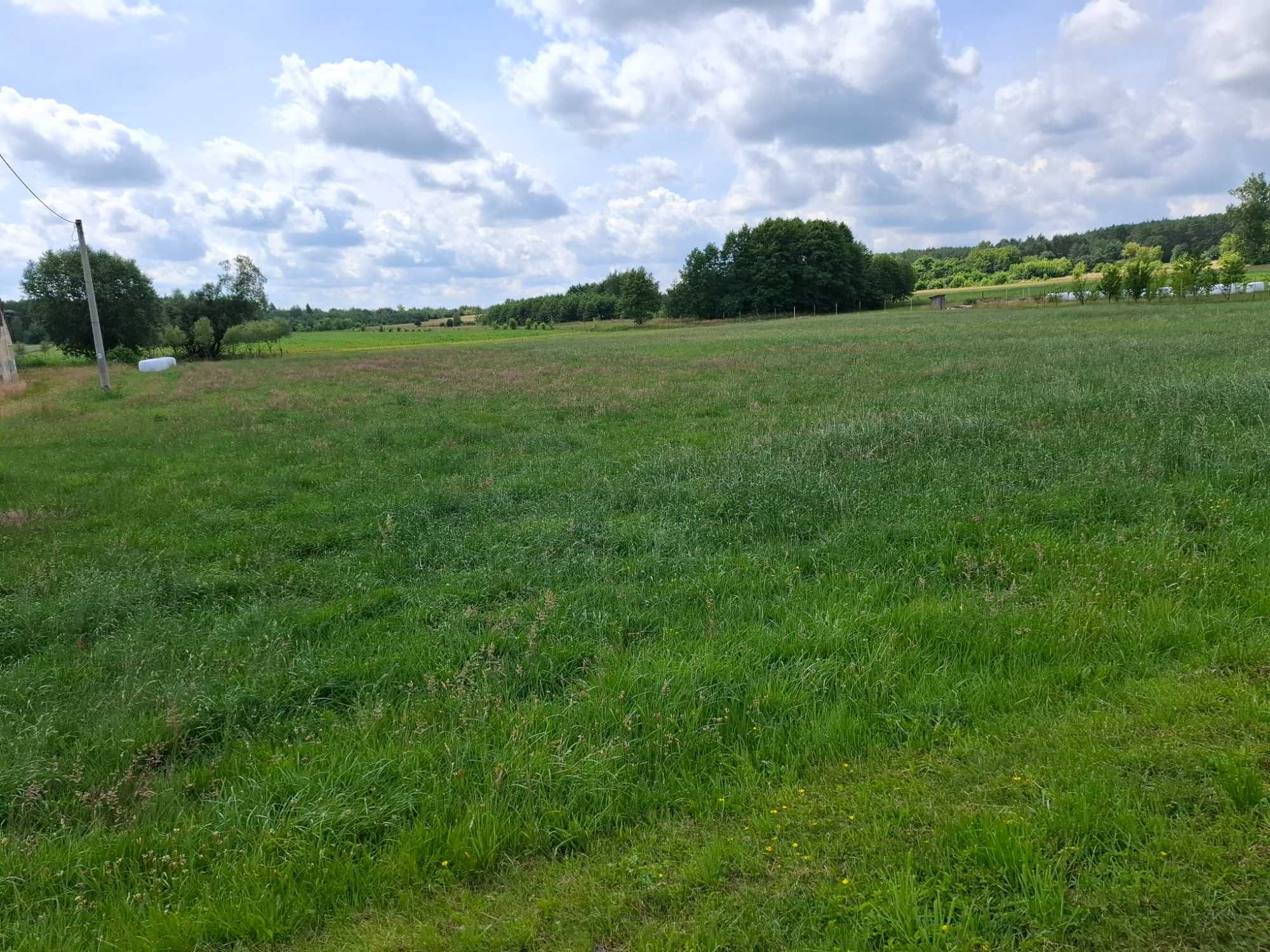 Działka budowlana 1000m2