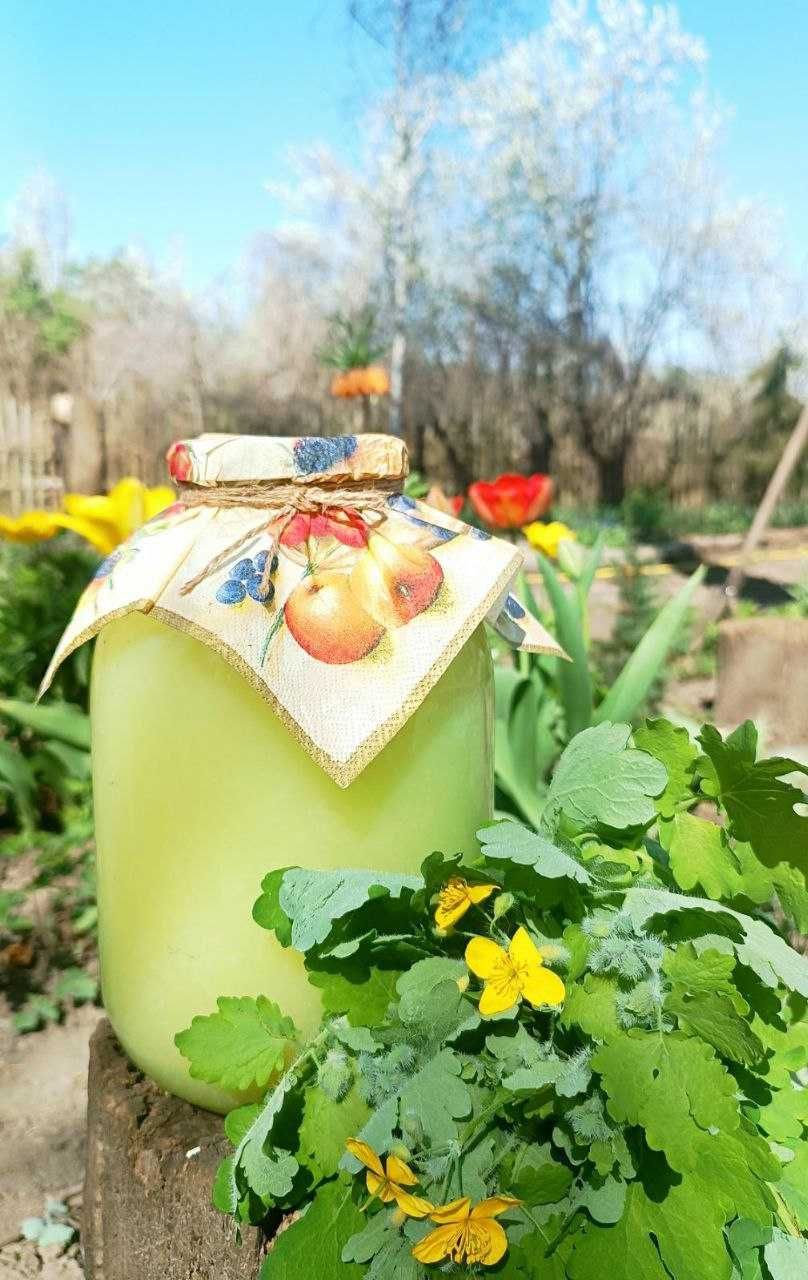 КВАС БОЛОТОВА (на чистотілі )