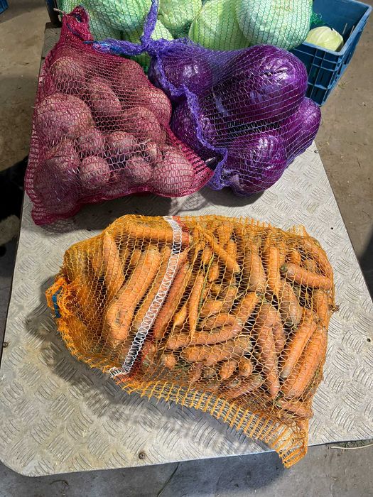 Marchew,burak,kapusta drugi gatunek,dla zwierząt,na soki