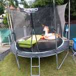 Trampolina Zipro 250cm