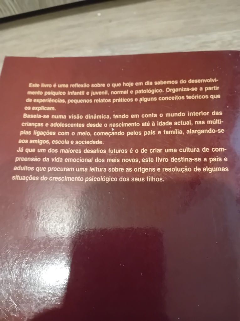 O meu filho não precisa de rótulos - Margarida Crujo