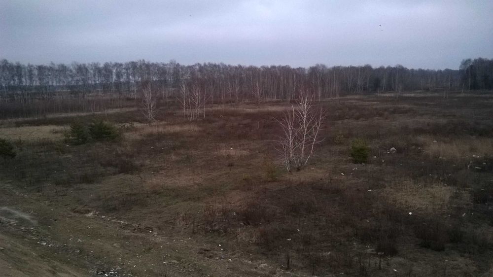Продам земельну ділянку 1 га за межами села Рожівка, Броварський район