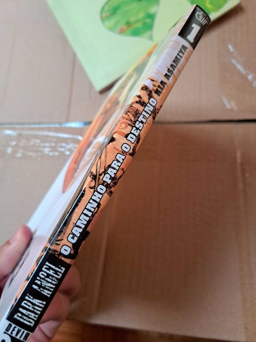 "DARK ANGEL - o caminho para o destino" Novo e sem defeitos