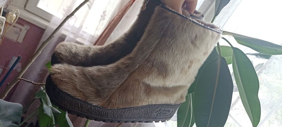 Натуральные сапоги из нерпы