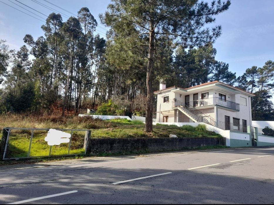 Terreno Caldas S. Jorge