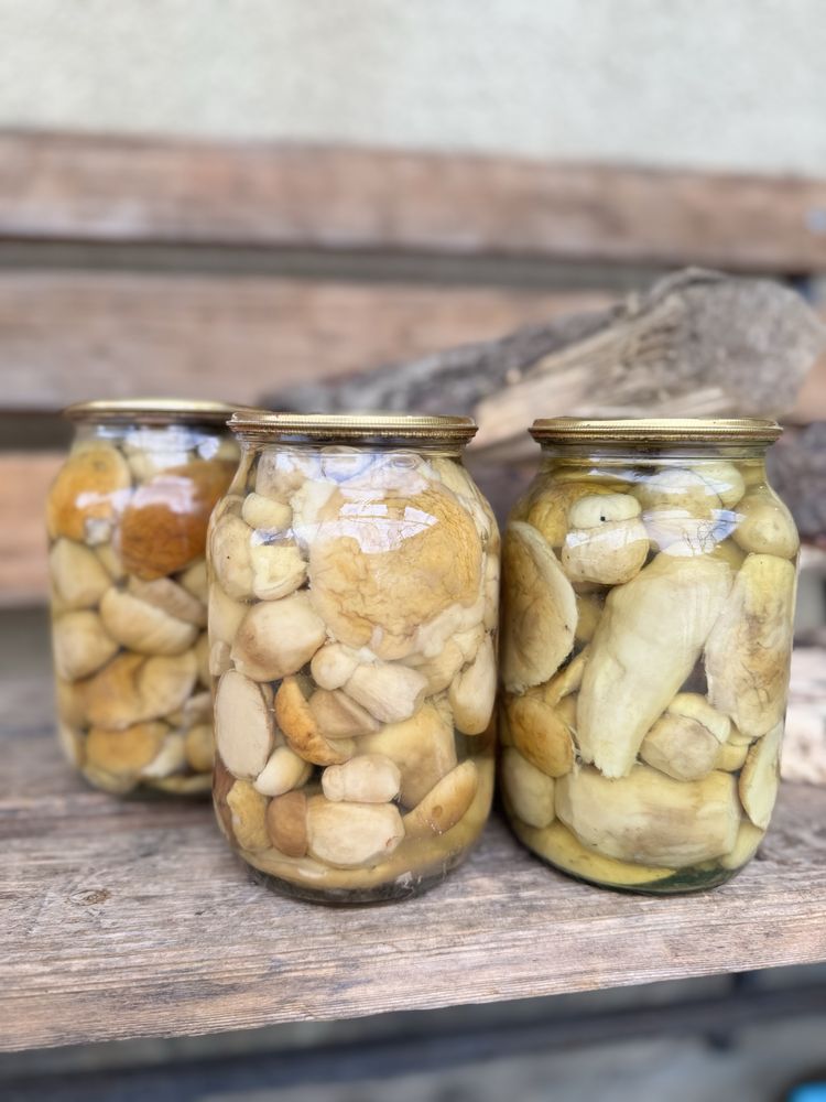 Мариновані гриби , мухомори сушені