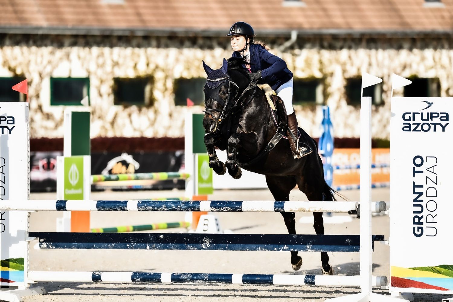 Kucyk grupy E (mały koń) do sportu