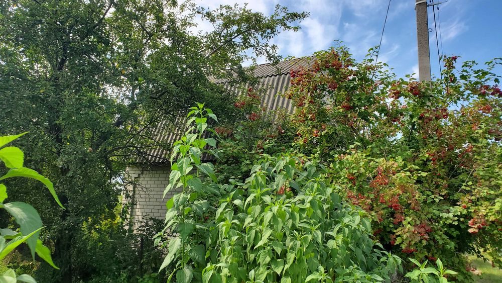 Продам дачу СТ "Стрижень"