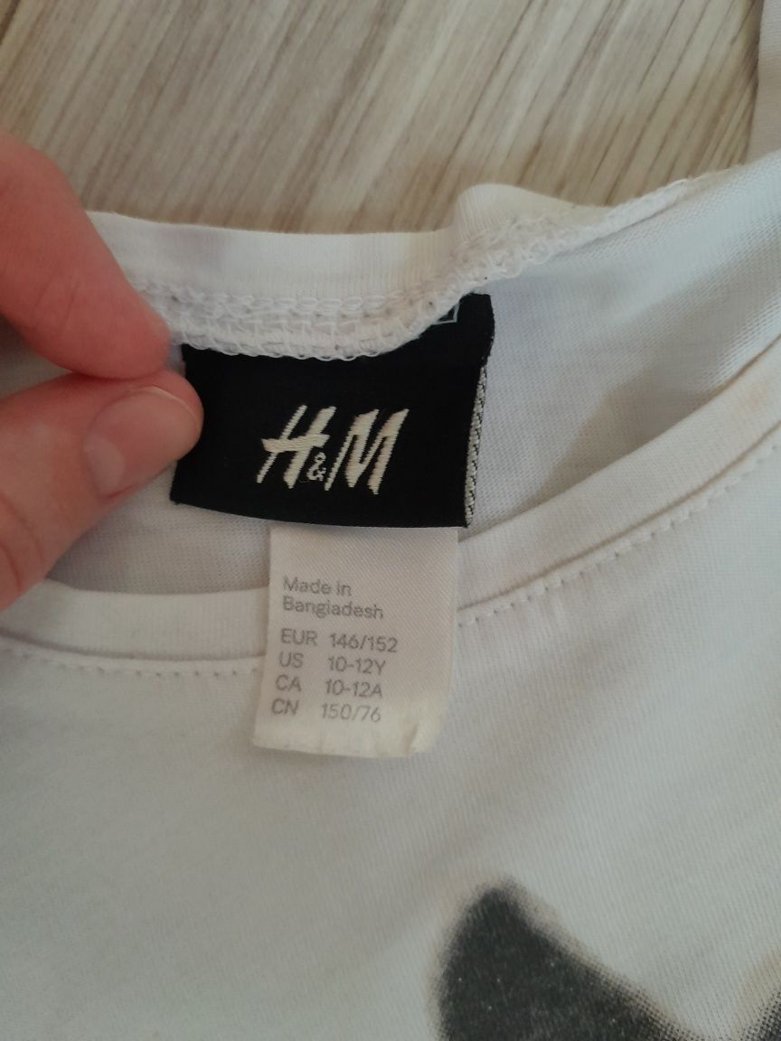 Koszulka w konia XS H&M