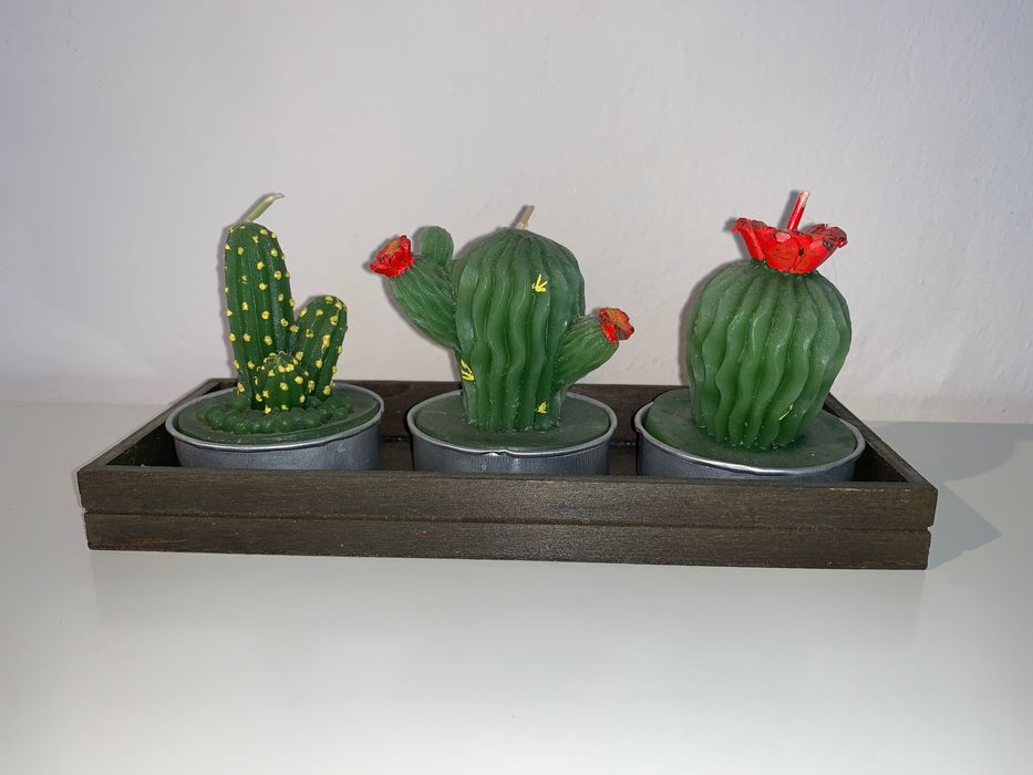 Zestaw świec w kształcie kaktusów z podkładką drewnianą Home&You