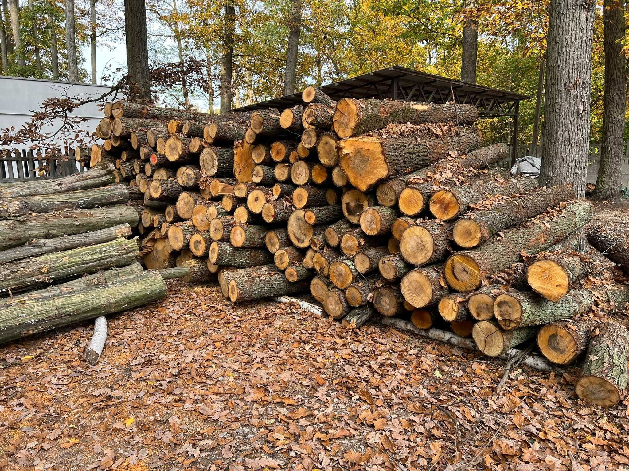 Drewno opałowe opał drewno rozpałkowe rozpałka pellet