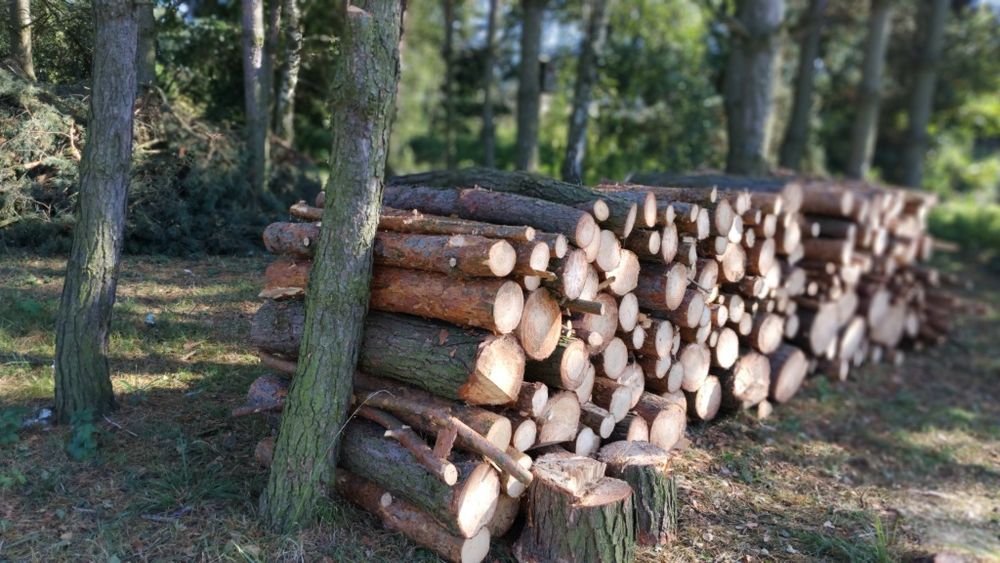 Sprzedam drewno opałowe