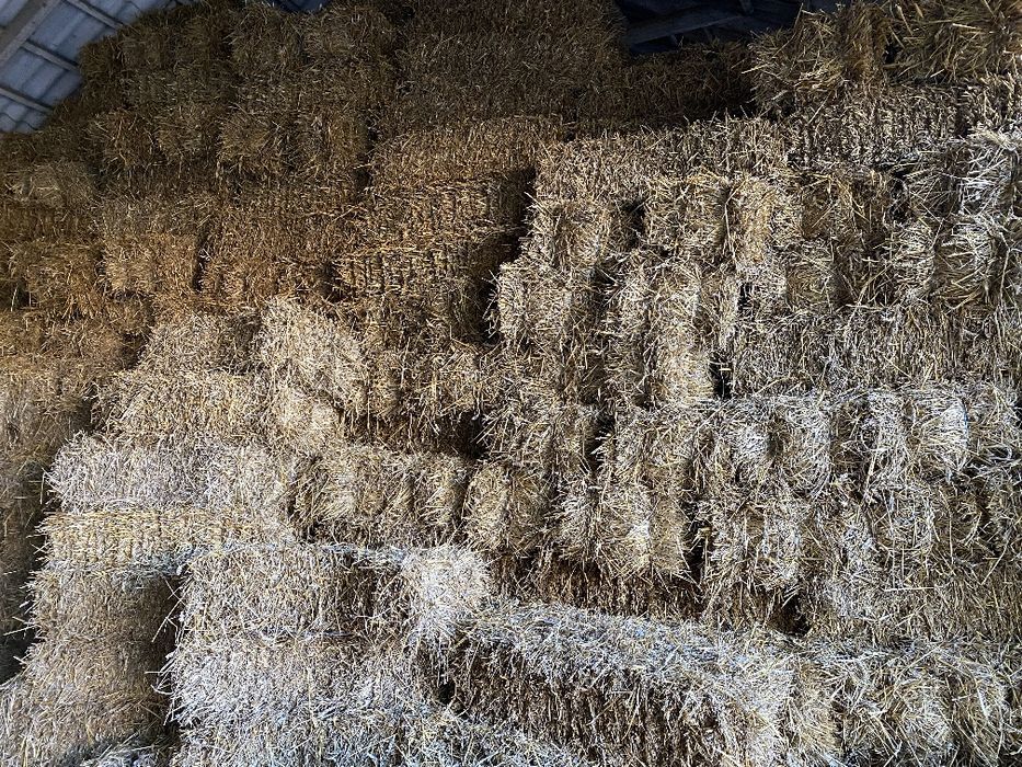 Корисна Солома для тварин