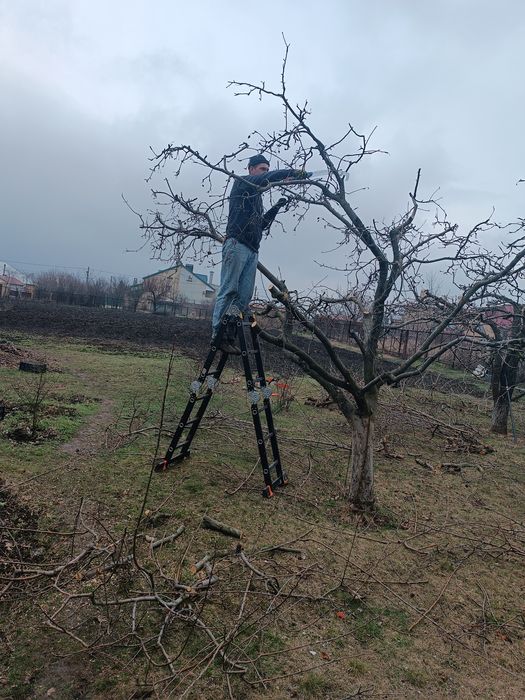 Уборка участка под ключ, покос травы, спил, обрезка деревьев, демонтаж