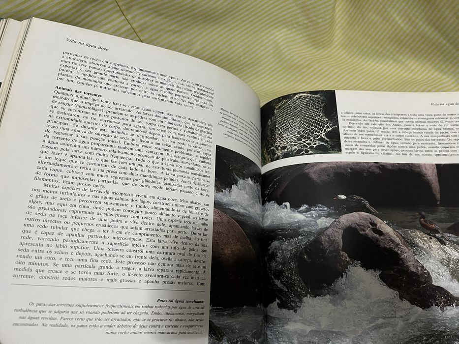 Livros A Vida na Terra e O Planeta Vivo