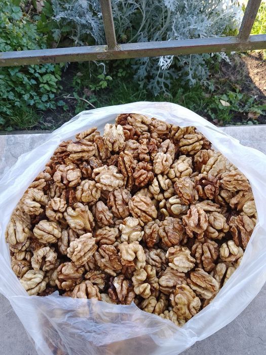Волоські горіхи цільні очищені