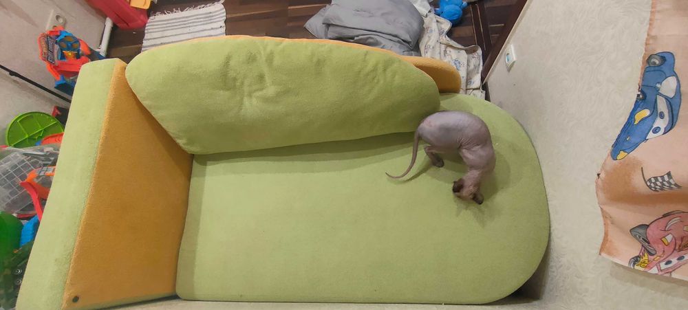 Диван одномісний дитячий.