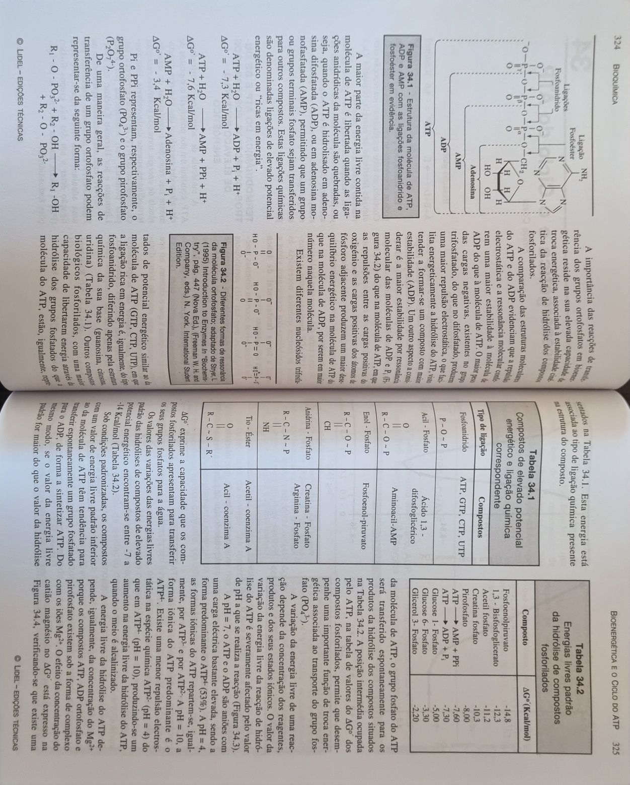 Bioquímica, em Português