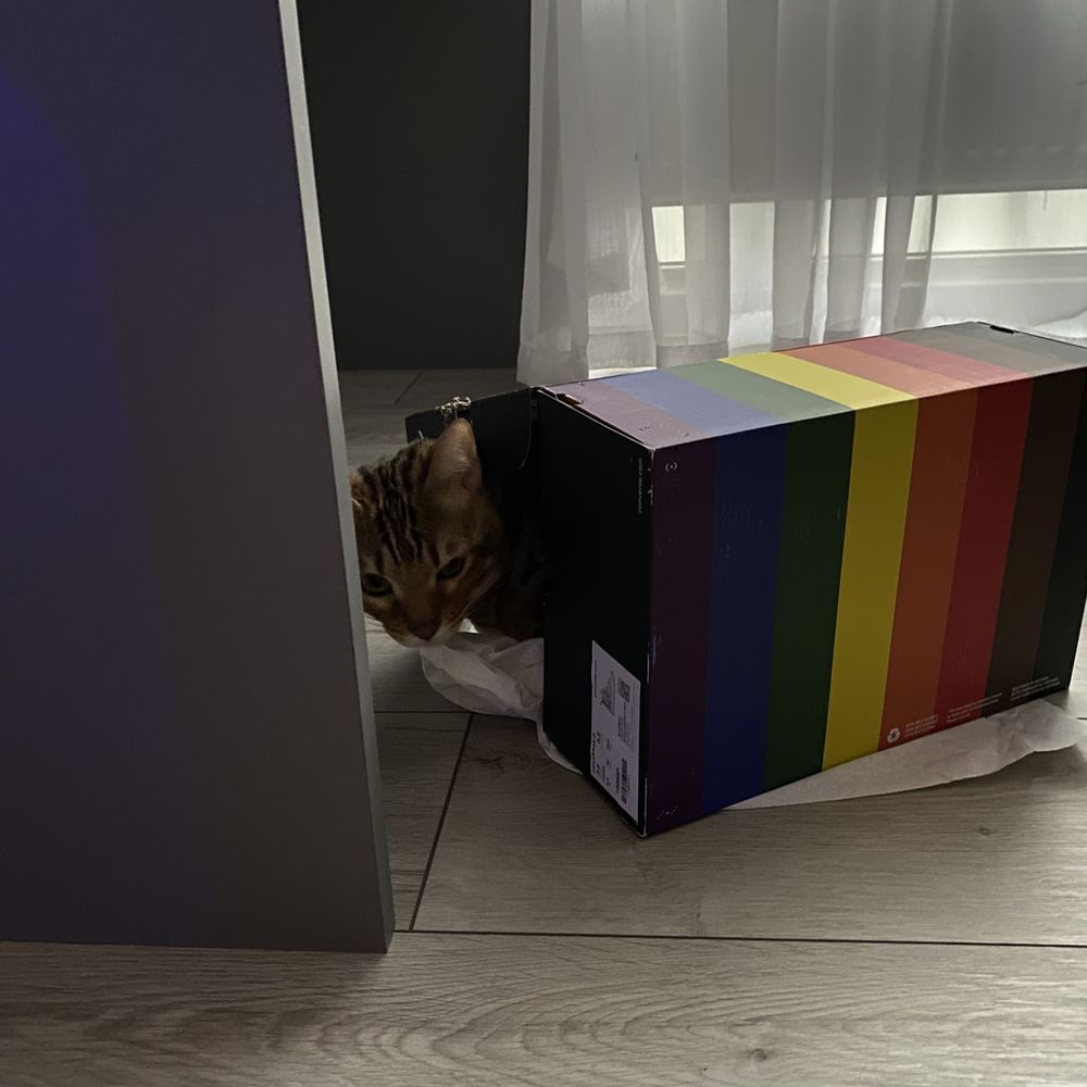 Converse All Star Pride Collection