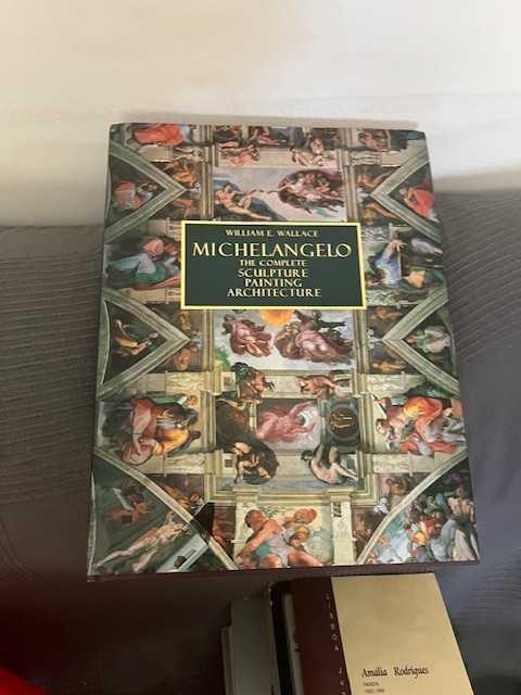 Livro Michel Angelo