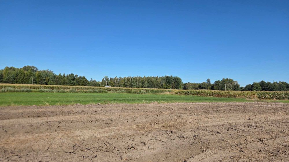 Działka nad rzeką Rawka przy lesie