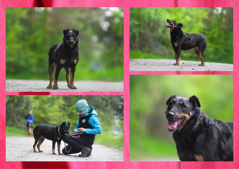 OMINA - marzy o nowym domu i rodzinie :)