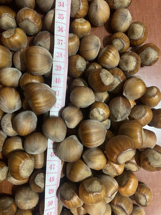 OrEchy laskowe worek 10 kg polecam