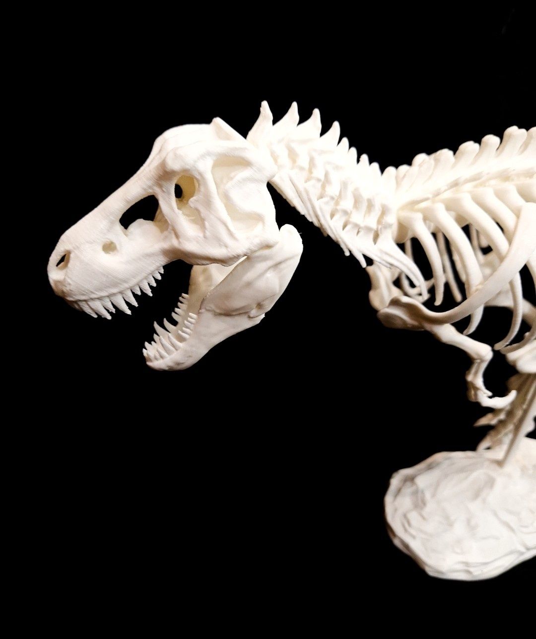Скелет динозавра, декор для досу