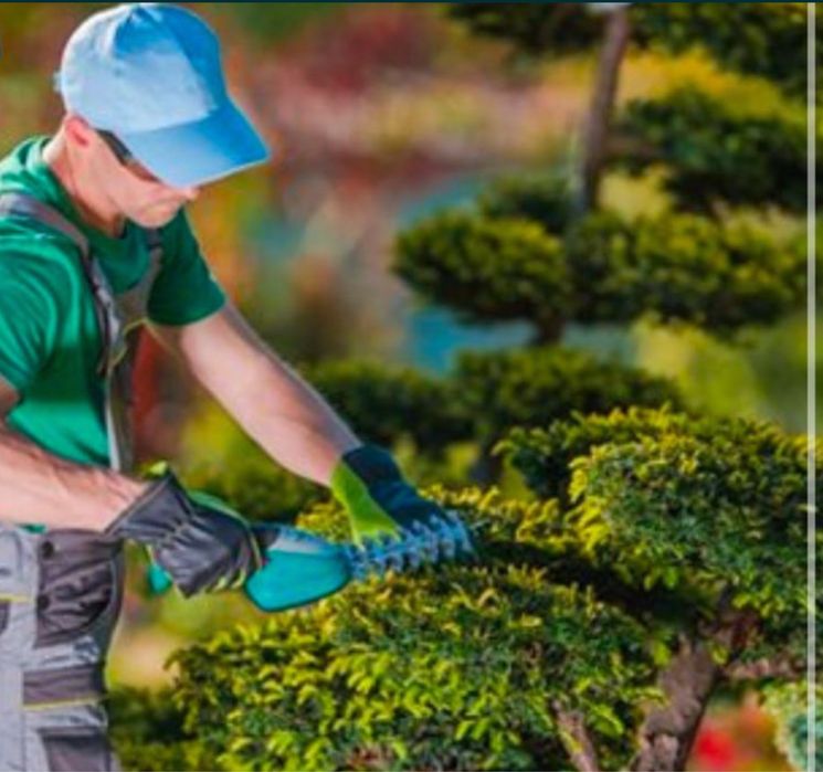 Топіарні-декоративні стрижки туї,ялівцю та декоративних росли