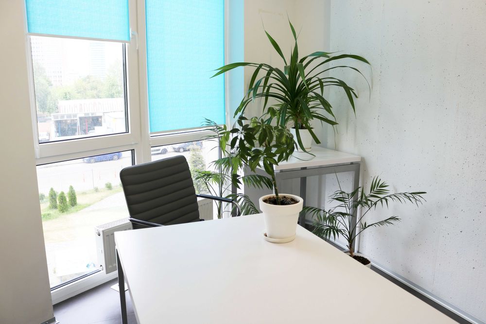 Оренда офіса 76,6 кв.м. 598 грн, від власника, Лівий берег