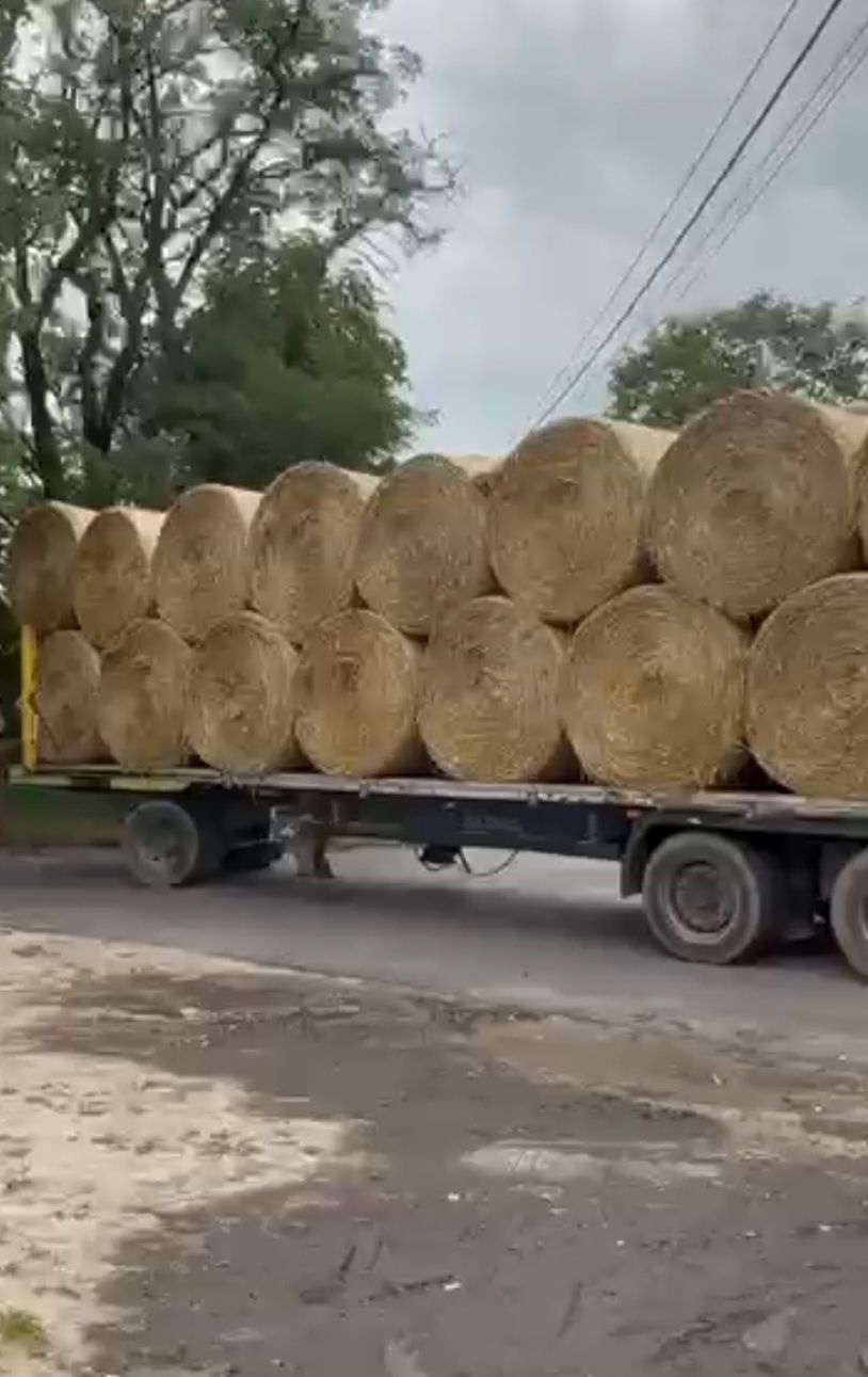 Słomę w belach sprzedam