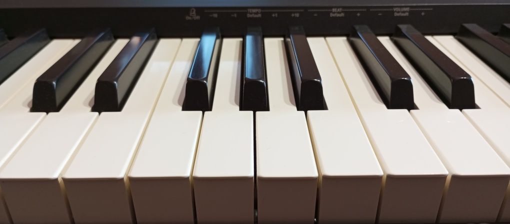 Roland FP-10 pianino cyfrowe