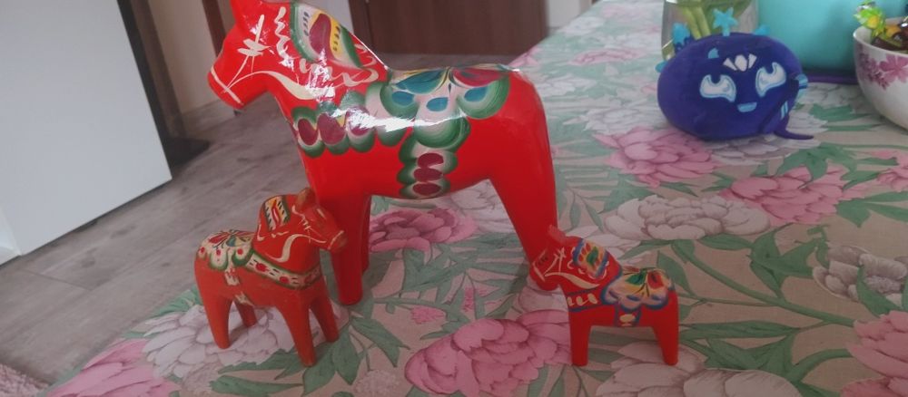 Koniki Dalarna Szwecja