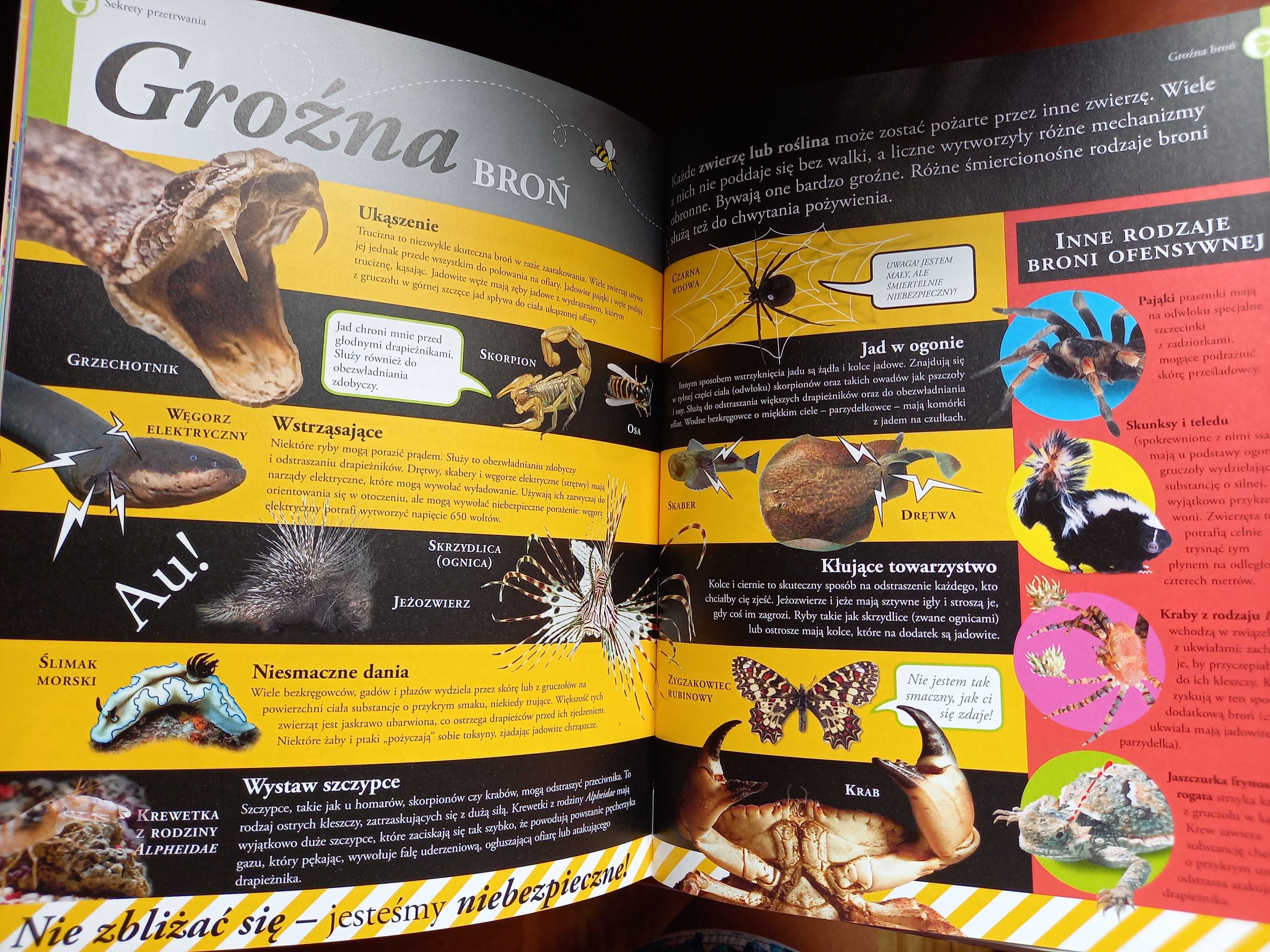 National Geographic Oto Życie biologia przyroda zwierzęta