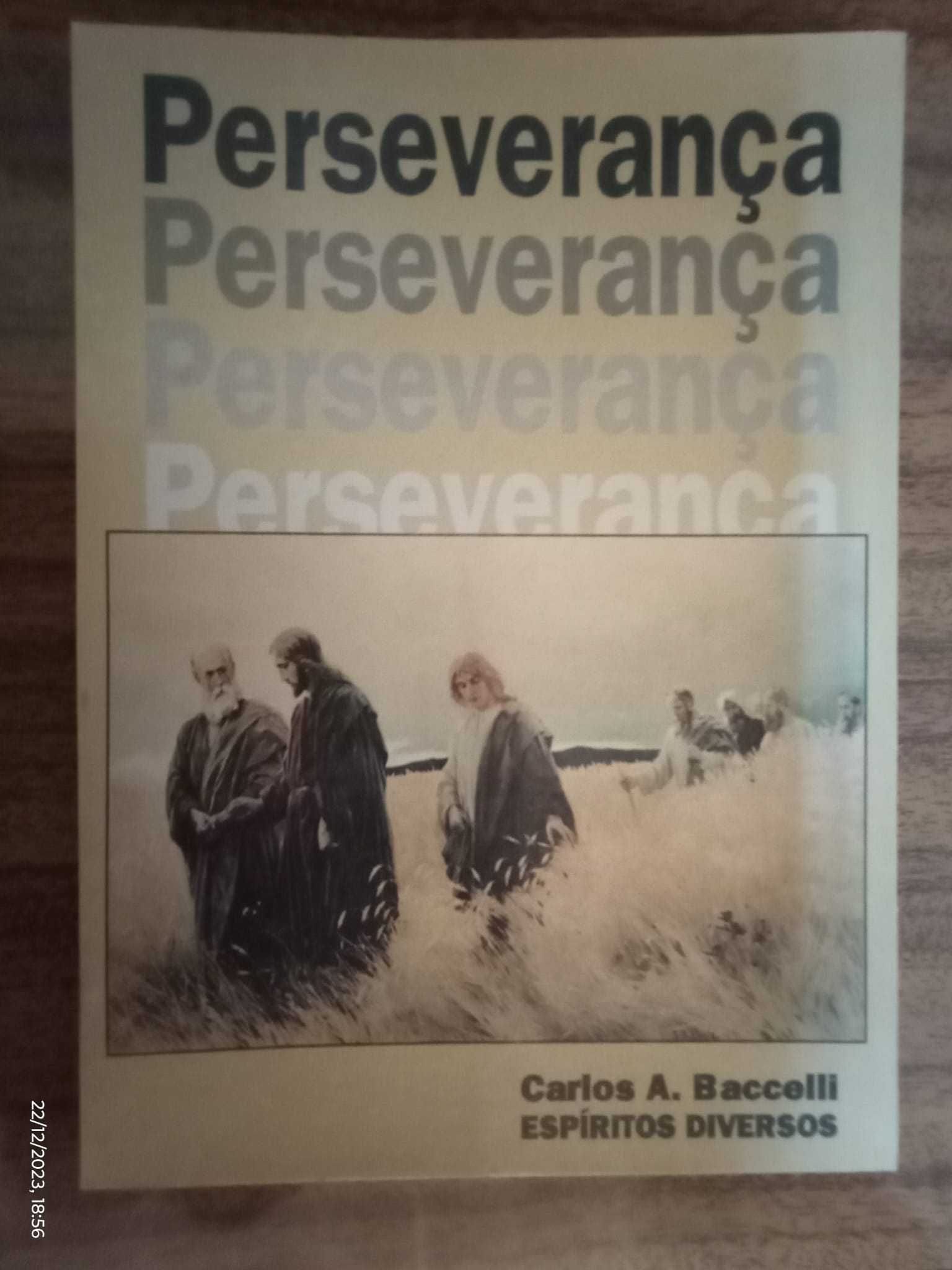 Perseverança  Diversos espiritos Carlos Baccelli  (Livro espirita)