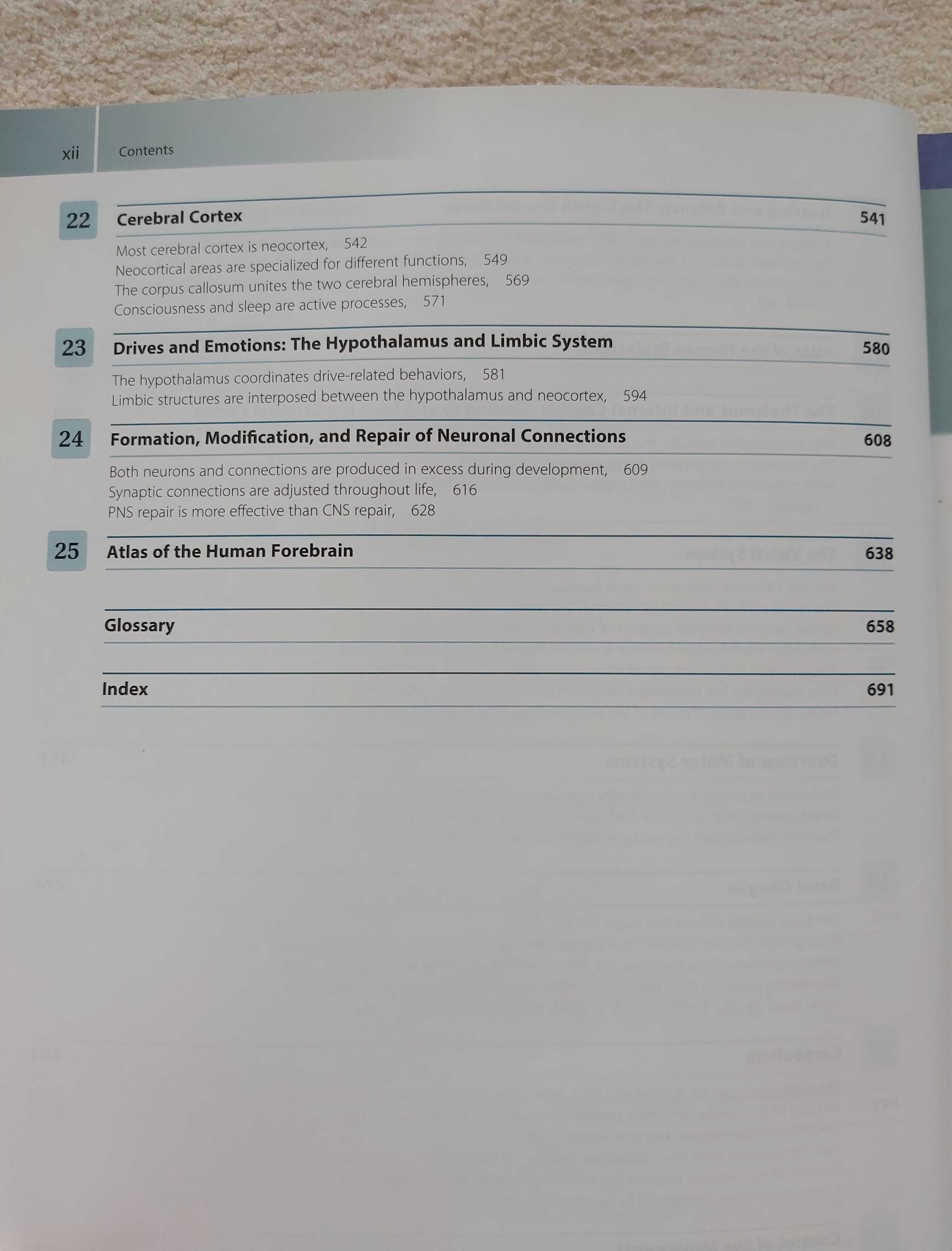Livro de Neuroanatomia - The Human Brain - Funcional Anatomy -  Nolte